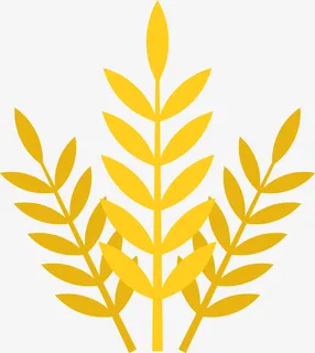 金色麦穗手绘图免抠