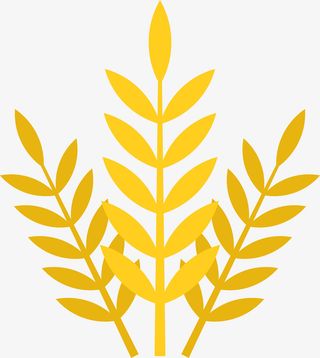 金色麦穗手绘图免抠