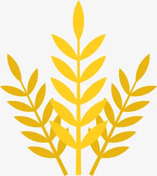 金色麦穗手绘图免抠