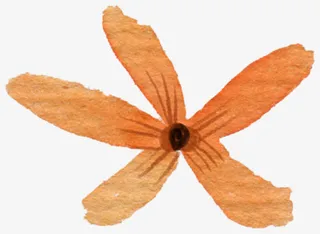 手绘文艺黄色渐变树叶装饰免抠