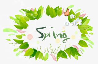 春天绿叶花边免抠