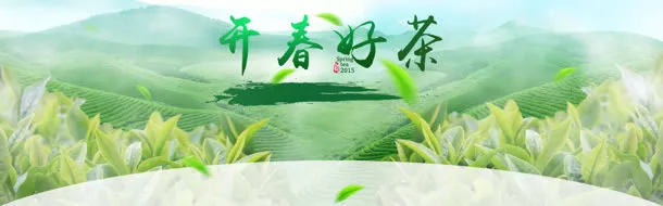 开春好茶茶叶文化网站PSD分层免抠