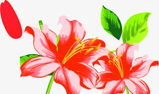 绿叶红色盛开手绘百合免抠