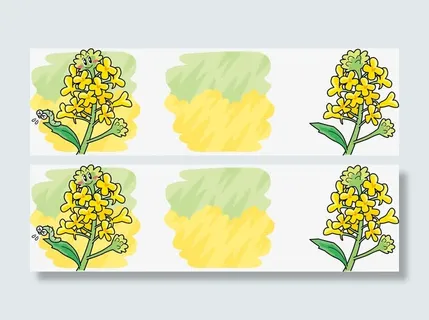 手绘油菜花免抠