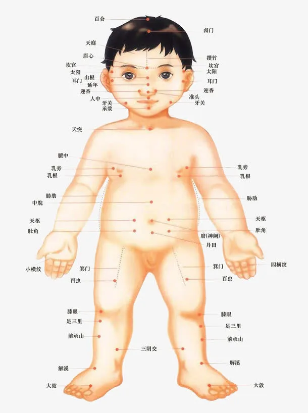 儿童穴位全身图免抠
