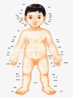 儿童穴位全身图免抠