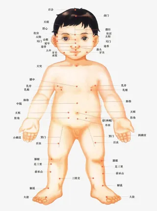 儿童穴位全身图免抠