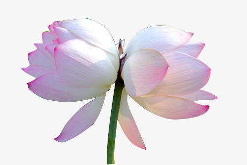 中国风古风素材免抠