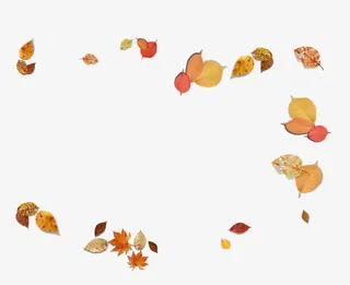 唯美精美漂浮树叶免抠