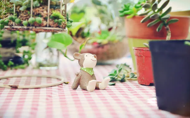 小熊桌布植物盆栽免抠