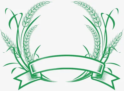 圆形绿色小麦穗底部绿色丝带边框免抠