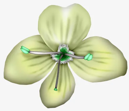花瓣绿色花瓣花蕊免抠