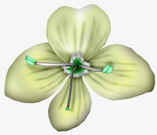 花瓣绿色花瓣花蕊免抠