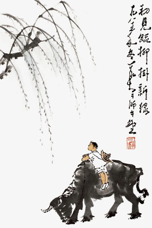初见垂柳挂新绿免抠
