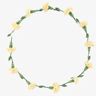 实物康乃馨花环素材免抠