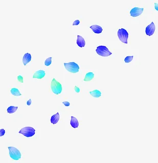 花瓣漂浮物免抠