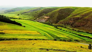 大兴风岭草原免抠