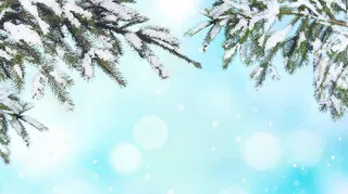 温情暖冬冬季雪景背景