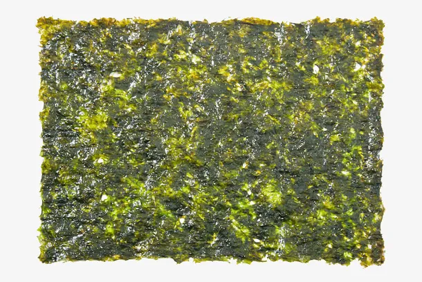 一片清晰新鲜海苔免抠