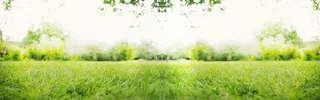 清新草地淘宝海报背景