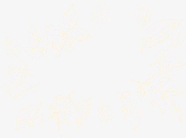 唯美白色叶子免抠