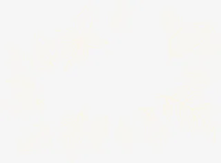 唯美白色叶子免抠