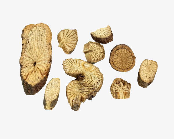 中药青风藤实物图免抠