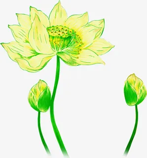 荷花主题化妆品广告免抠