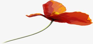 水墨艺术春天花朵免抠