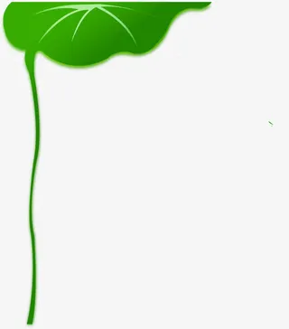 绿色荷叶卡通创意免抠