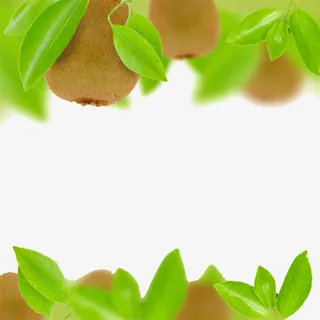 猕猴桃png图片素材免抠