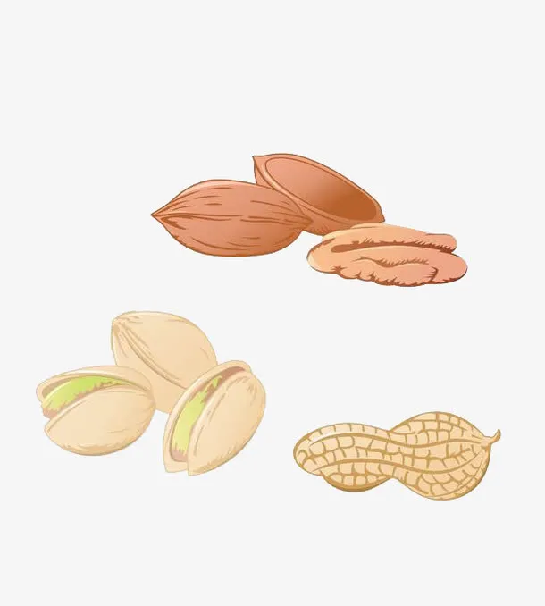 各种手绘坚果免抠