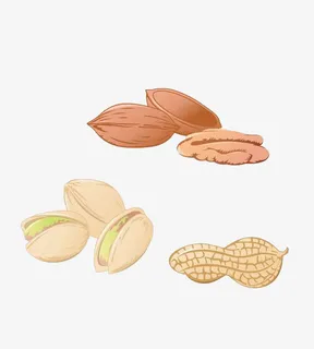 各种手绘坚果免抠