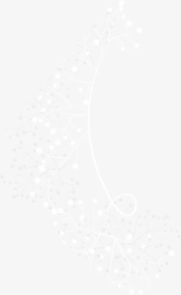 白色树枝元素免抠