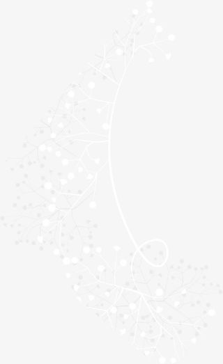 白色树枝元素免抠