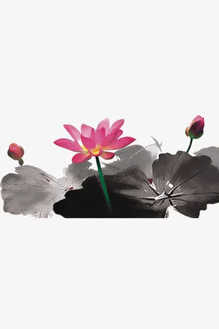 中国风水墨荷花免抠