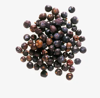 棕黑色的一把杜松子免抠