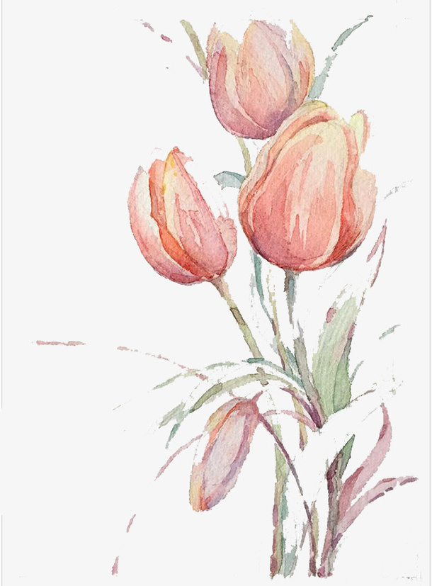 水彩鲜花免抠