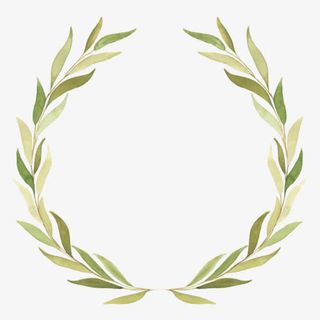 手绘水彩橄榄枝花环边框设计PNG免抠