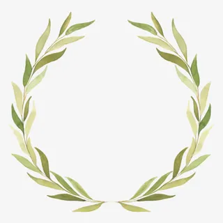 手绘水彩橄榄枝花环边框设计PNG免抠