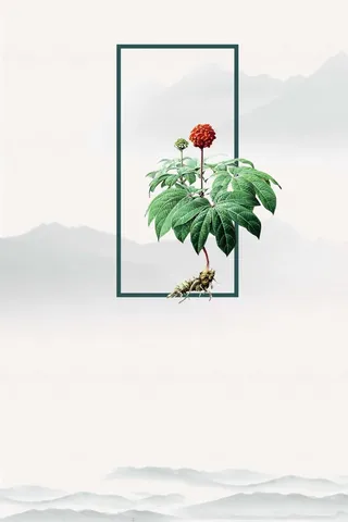 中国风三七药材海报背景模板高清
