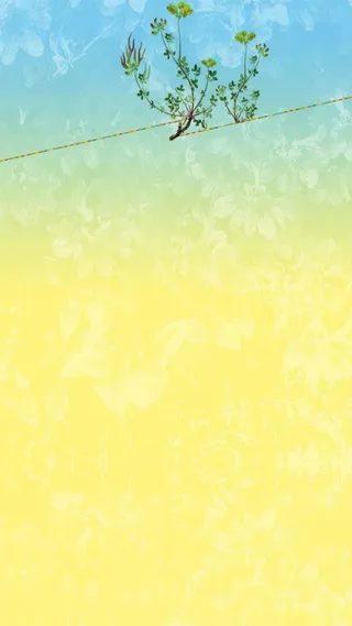 黄色渐变背景H5素材背景高清