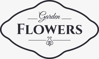 黑色线条框架免抠