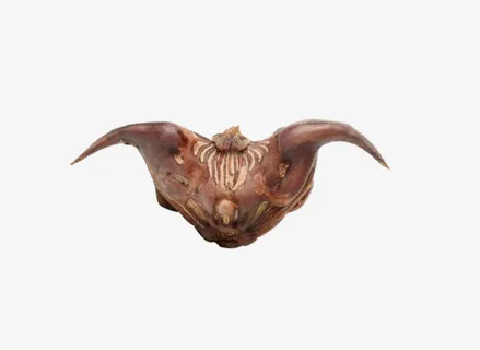 一颗新鲜的菱角高清图片免抠 一颗新鲜的菱角高清图片免抠