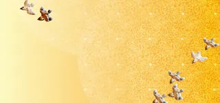 燕子花朵纹理渐变卡通可爱banner高清