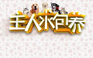 主人求包养艺术字免抠