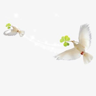 白鸽免抠装饰动物元素