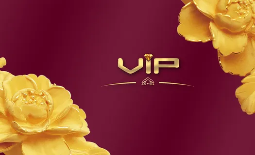 vip会员贵宾大气背景素材高清