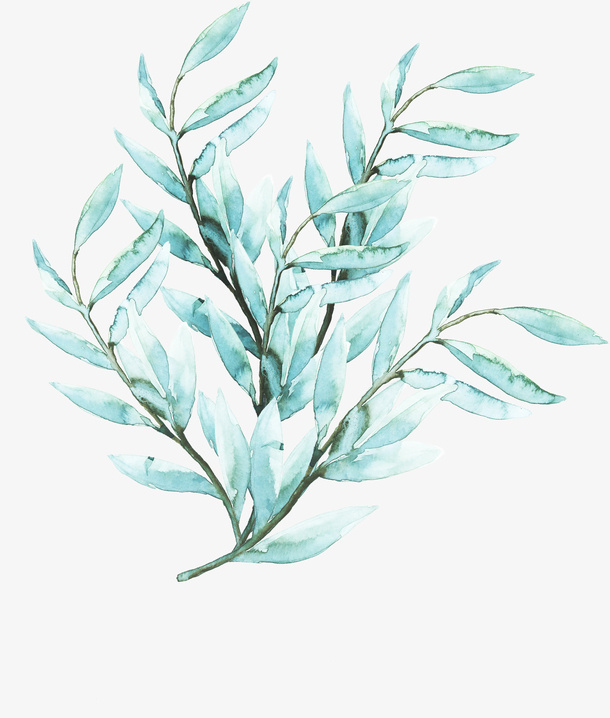 彩绘植物免抠