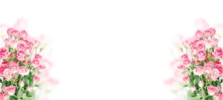 唯美大气大红玫瑰花海报背景